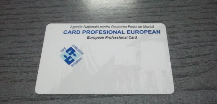 Cardul Profesional European asigură creşterea calităţii serviciilor de informare şi orientare în carieră