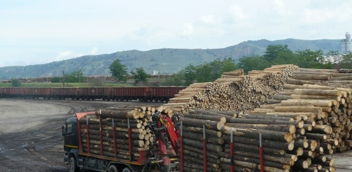 Reacții de la Cotroceni cu privire la Mafia Lemnului condusă de Schweighofer