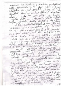 SESIZARE UPU PG2