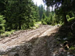 poarta raiului 193
