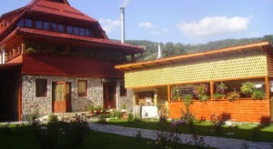 Pensiunea-La-Vasile-14