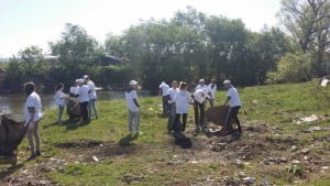 ecologizare2