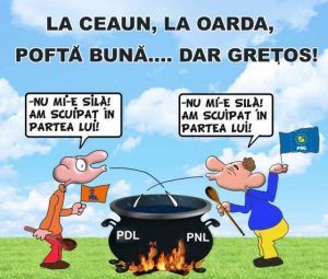 La-Ceaune-in-Oarda-PDL-si-PNL-640x544