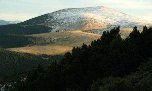 poarta raiului