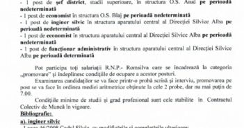 Concurs cu FINAL AȘTEPTAT : Șeful Direcției Silvice Alba reușește să își angajeze SOȚIA în propria ogradă
