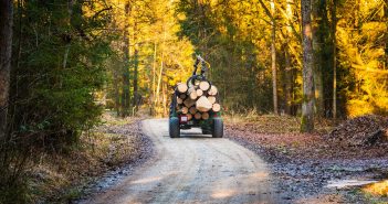 Bărbat din Peștișu Mic, prins cu lemn furat și tractor condus fără permis pe DJ 708E