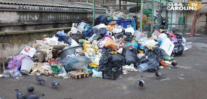 Prima măsură luată în cazul neridicării gunoiului din Municipiul Alba Iulia: Amendă primită de firma de salubrizare de la DSP Alba