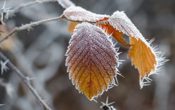 Alertă meteo! Cod galben de vreme severă imediată pentru mai multe localități din județul Alba