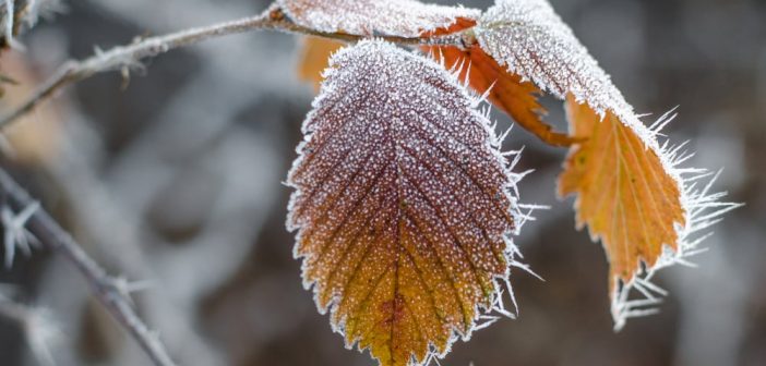 Alertă meteo! Cod galben de vreme severă imediată pentru mai multe localități din județul Alba