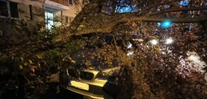 Atenție la locul în care vă parcați autoturismele! Cod galben de vânt puternic în Bihor