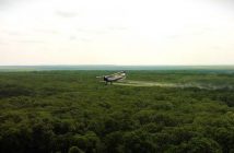 Romsilva a efectuat lucrări de combatere a omizilor defoliatoare pe o suprafață de peste 7.000 mii de hectare