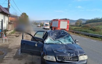 Accident rutier pe DN1F, în localitatea Sânpaul. Un pasager a fost rănit, iar un cal a murit