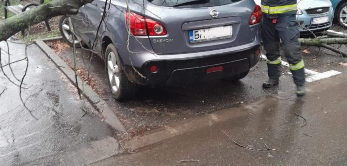 Pompierii bihoreni, apel către populație: respectați măsurile de siguranță pe durata codului galben de vânt